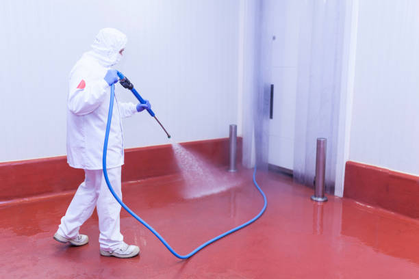 Best Driveway Pressure Washing  in Browntown, PA